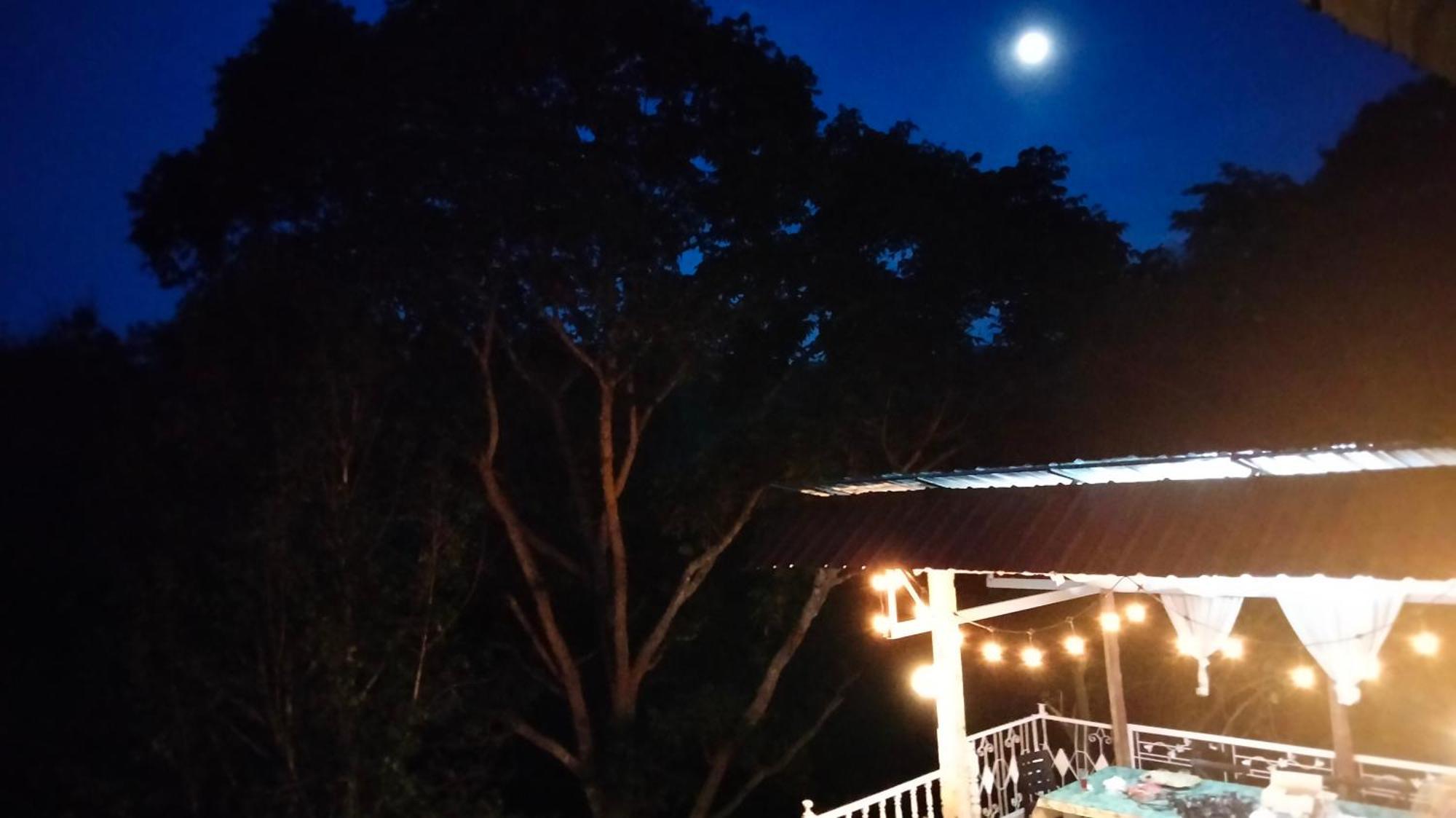 Balmy Hideout Cafe & Homestay Ban Huai Kaeo ภายนอก รูปภาพ