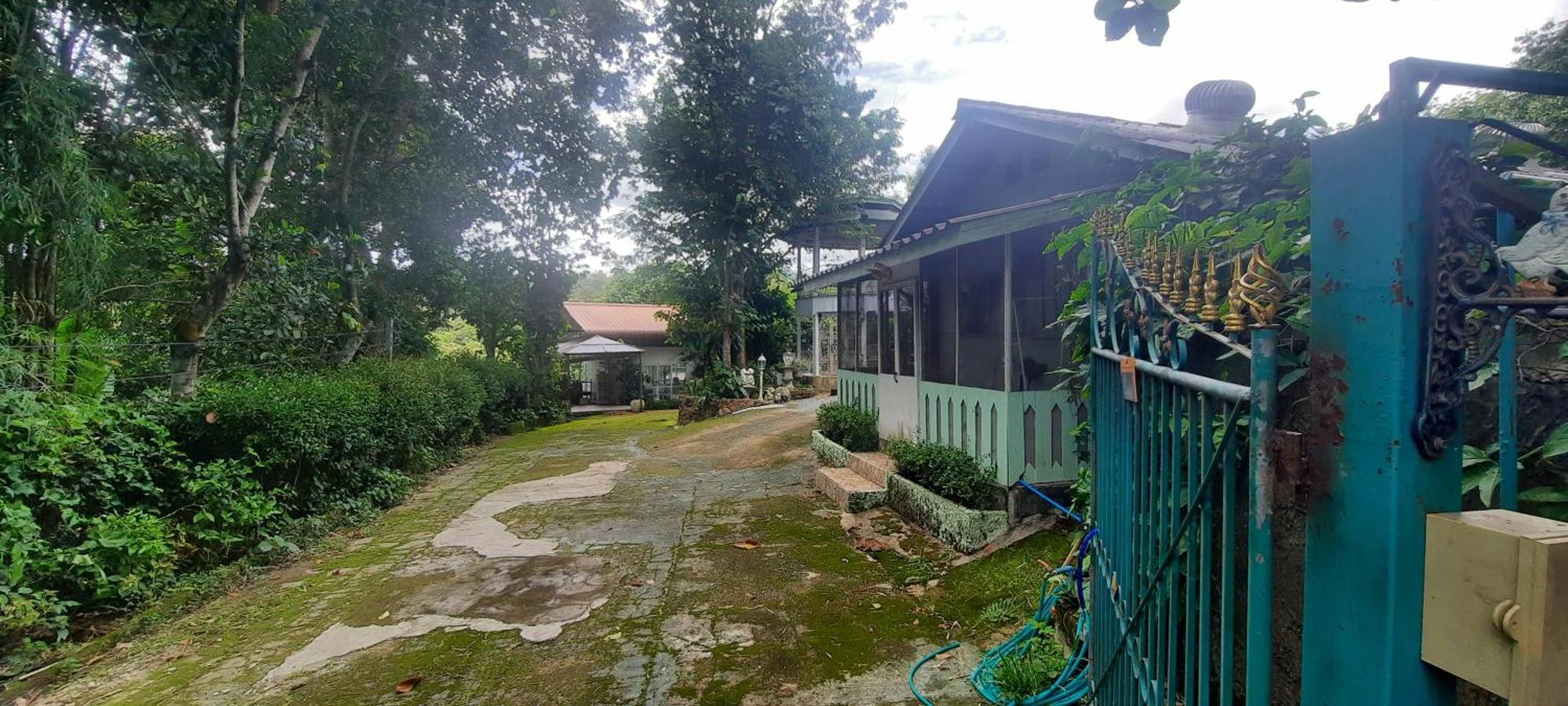 Balmy Hideout Cafe & Homestay Ban Huai Kaeo ภายนอก รูปภาพ