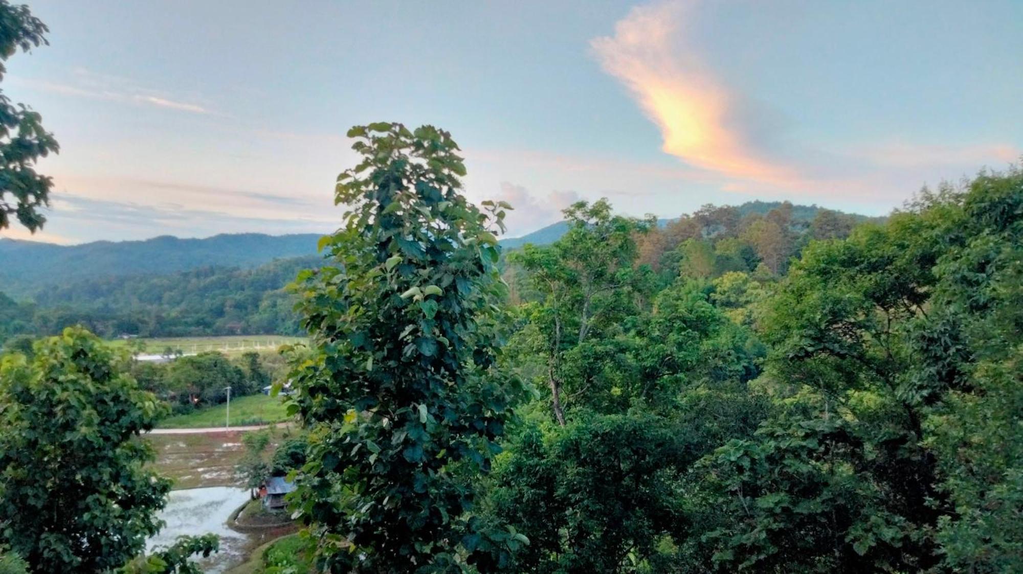 Balmy Hideout Cafe & Homestay Ban Huai Kaeo ภายนอก รูปภาพ