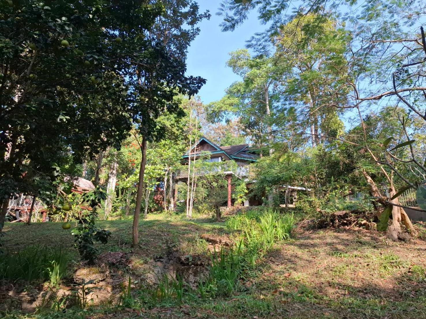 Balmy Hideout Cafe & Homestay Ban Huai Kaeo ภายนอก รูปภาพ